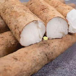 正宗高州曹江深薯农家自种深薯炖汤淮山薯香粉糯现挖现发新鲜直达