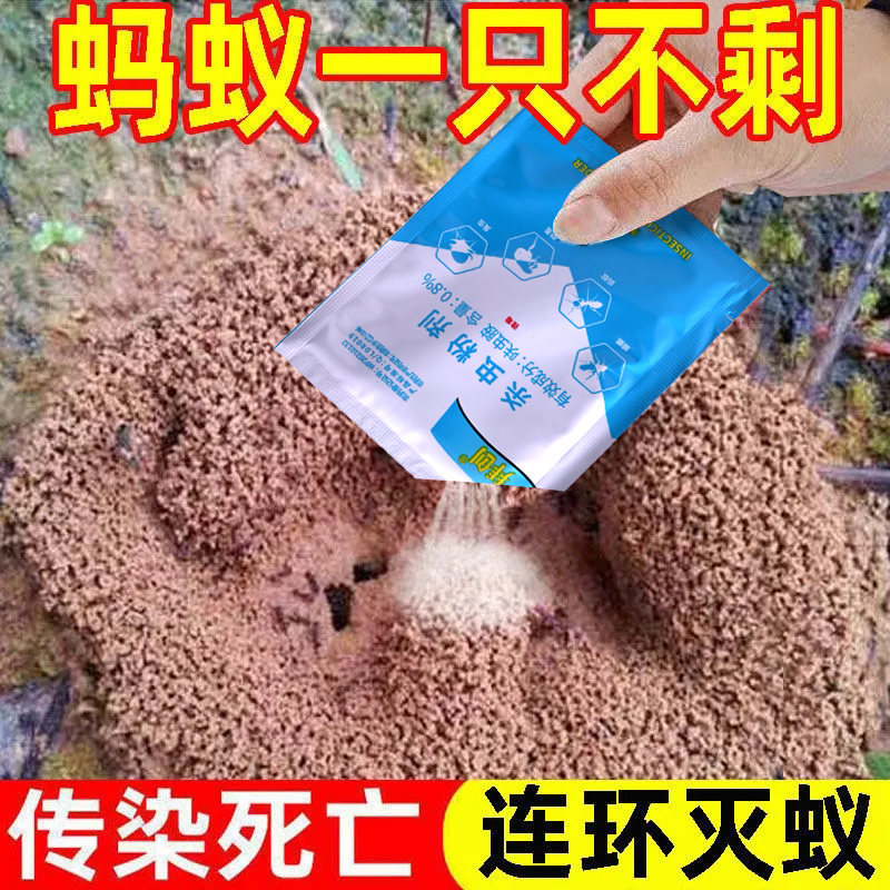 【10包装】户外室外菜地消灭蚂蚁药全窝端治灭蚂蚁药家用无毒神器 洗护清洁剂/卫生巾/纸/香薰 灭蚁药（卫生农药） 原图主图