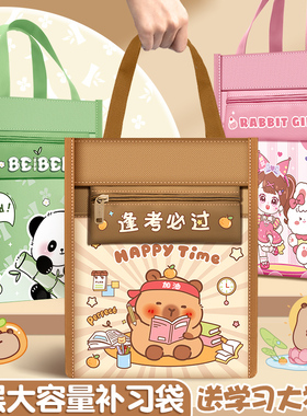 卡皮巴拉补习袋手提袋拎书袋小学生男孩女童书包文件袋帆布美术袋补习班作业文件试卷袋收纳袋儿童学习补课包