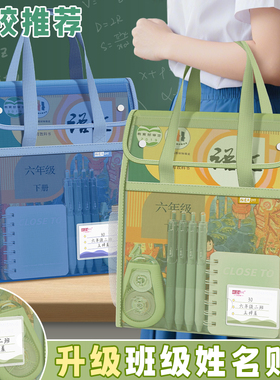 学生拎书补习袋加厚手提袋大容量文件试卷袋翻盖式拉链式透明网纱考试专用文件收纳袋科目袋高颜值书包补课袋