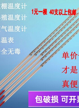 红水玻璃棒式温度计测温家用大棚种植养殖带孔挂式0-100度水温表