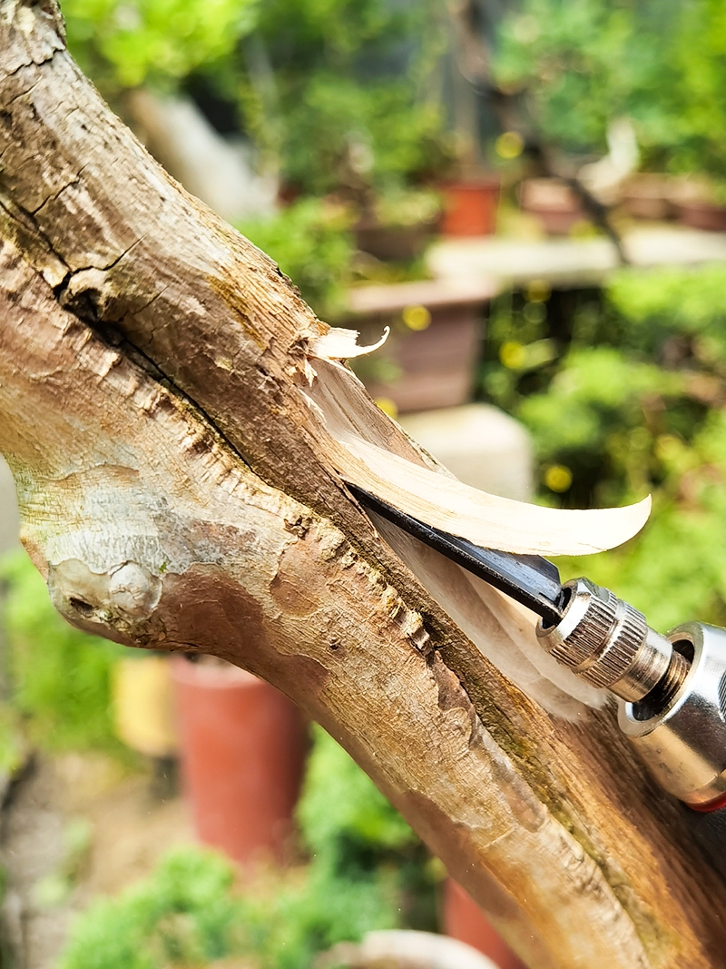 电动雕刻刀 木雕木工刻刀凿子凿刀树雕根雕工具 盆景舍利杆雕刻机