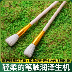 专业陶艺彩绘填色画笔工具套装釉上彩毛笔料笔彩绘勾线扫灰补水工