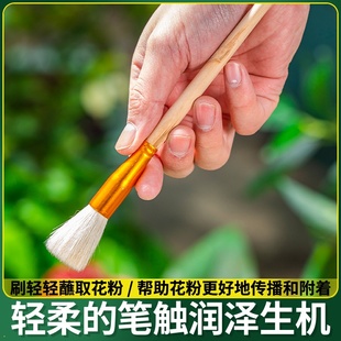 陶艺毛笔套装釉上下彩绘勾线笔填色笔补水笔鸡头料笔陶艺绘画工具