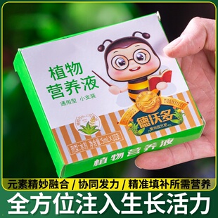 【四季爆芽】文竹专用肥营养液治叶子发黄枯瘦干尖烂根落叶促生长