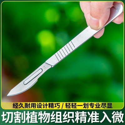 多肉砍头刀芽接刀工具月季嫁接刀蟹爪兰十二卷分株专用刀雕刻园艺