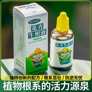 富贵竹专用营养液水培植物治黄叶促生根观音竹家用盆栽通用肥料保