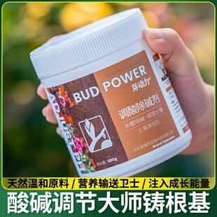 硫酸亚铁喜酸性花卉绿植栀子茉莉杜鹃专用土壤调酸铁肥料高效补肥