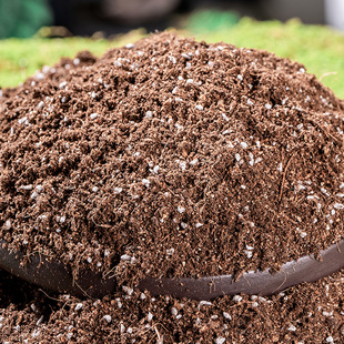 通用型营养土种菜养花蔬菜水果专用羊粪土花土阳台种菜土栽培基质
