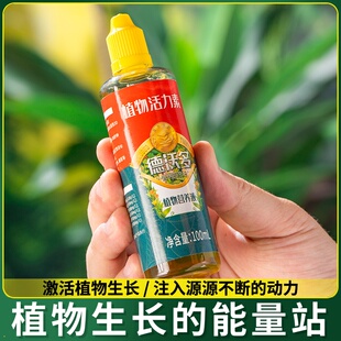 浓缩活力通用活力液生长生根液缓解僵苗营养液植物活力素长效供给