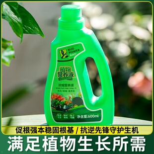 龙血树龙须树专用肥料营养液盆栽植物室内绿植养花肥通用氮磷钾肥