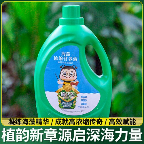 鲜花保鲜剂营养液家用花店专用保鲜液水培花卉植物通用型液体肥料