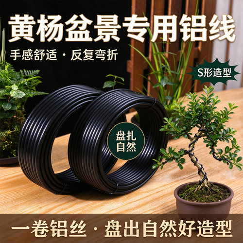 盆景树铝丝包线铝线成品蟠扎成形绿植黄杨线绳定型束缚扎丝塑扎线