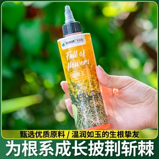金弹子爆根剂专用生根壮苗水溶肥复活营养粉原液扦插强力猛活力素