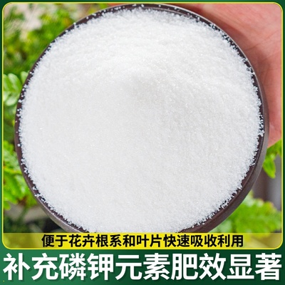 磷酸二氢钾肥料花卉专用草莓肥料促花磷钾水溶肥高效营养补充剂肥