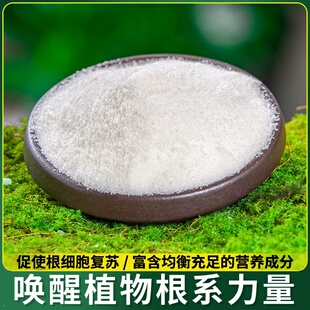 护根爆根活植物通用生根粉壮苗生根剂扦插移栽多肉营养液快速生根