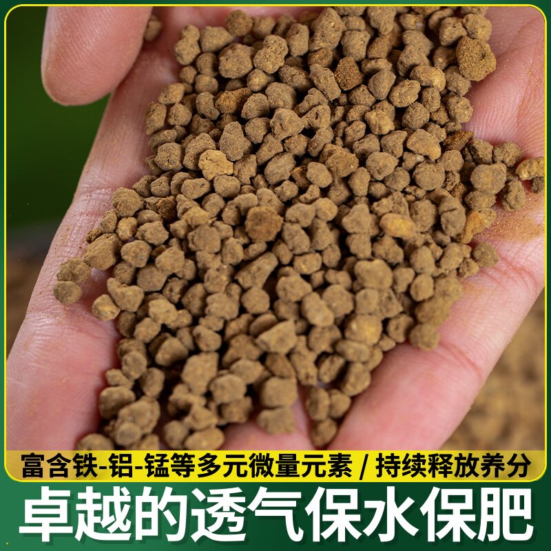 微景观di材料轻石颗粒赤玉土苔藓土水陆缸造景材料生态瓶雨林缸基