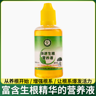 富贵竹专用营养液水培植物治黄叶促生根观音竹家用盆栽通用肥料保