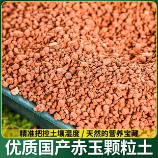 空城里金松土赤玉土苔藓微景观种植土营养土丹麦品氏泥炭土专用土