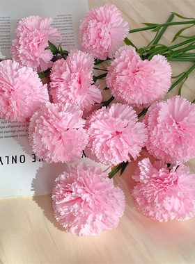 康乃馨假花仿真花摆设干花花束母亲节礼物客厅装饰花餐桌花艺摆件