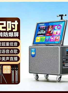 飞利浦SD259E户外视频k歌音响家庭KTV蓝牙直播广场舞显示屏音箱