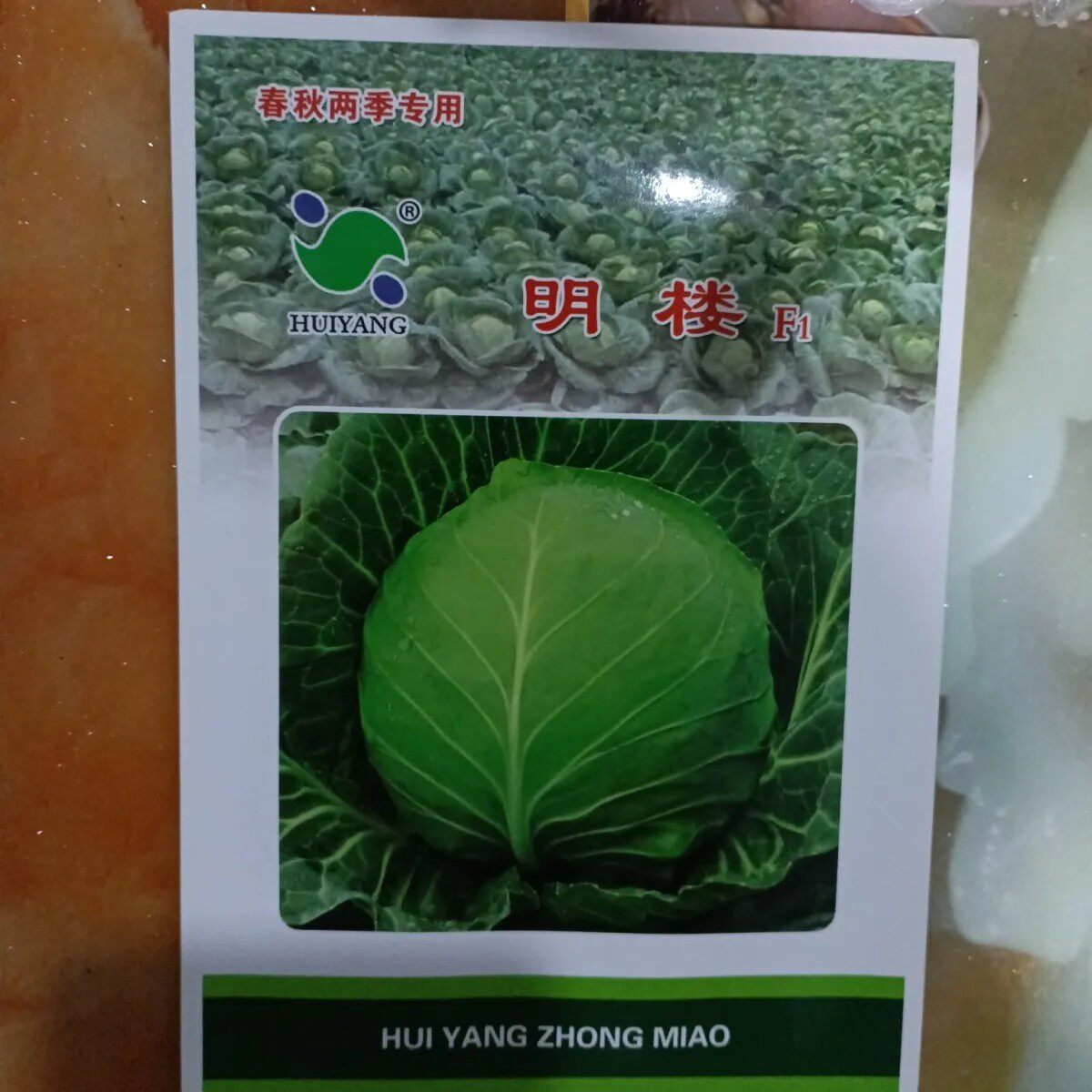 春秋两季甘蓝种子明楼早熟春甘蓝杂交近圆球形品种优良冬性强