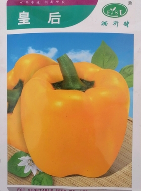 福斯特皇后甜椒黄彩椒方椒种子皮厚耐运圆椒春秋大田基地蔬菜籽