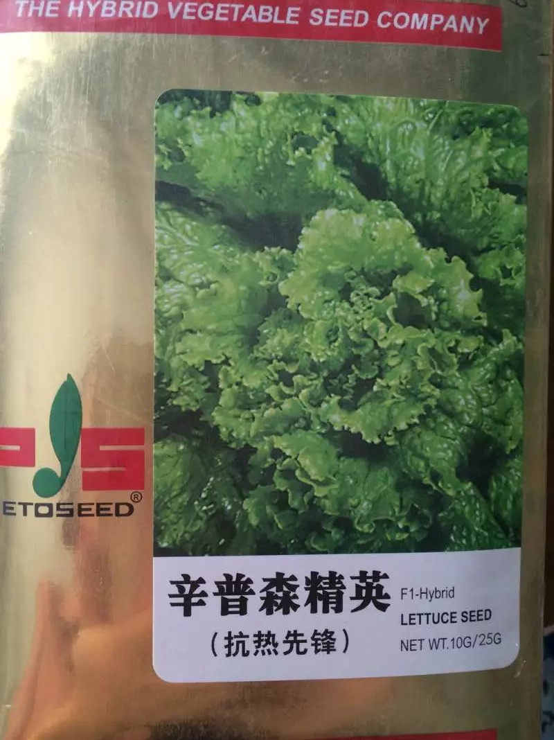 辛普森精英生菜种子原装进口耐热耐湿散叶生菜四季播蔬菜种子包邮