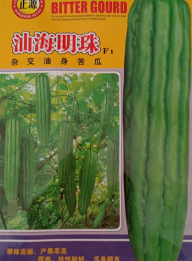 正源汕海明珠苦瓜种子杂交油身苦瓜 翠绿亮丽 高产优质50粒包邮
