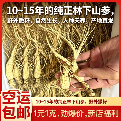 正宗纯正林下山参长白山人参残参干货药材泡酒煲汤煮水送长辈专用