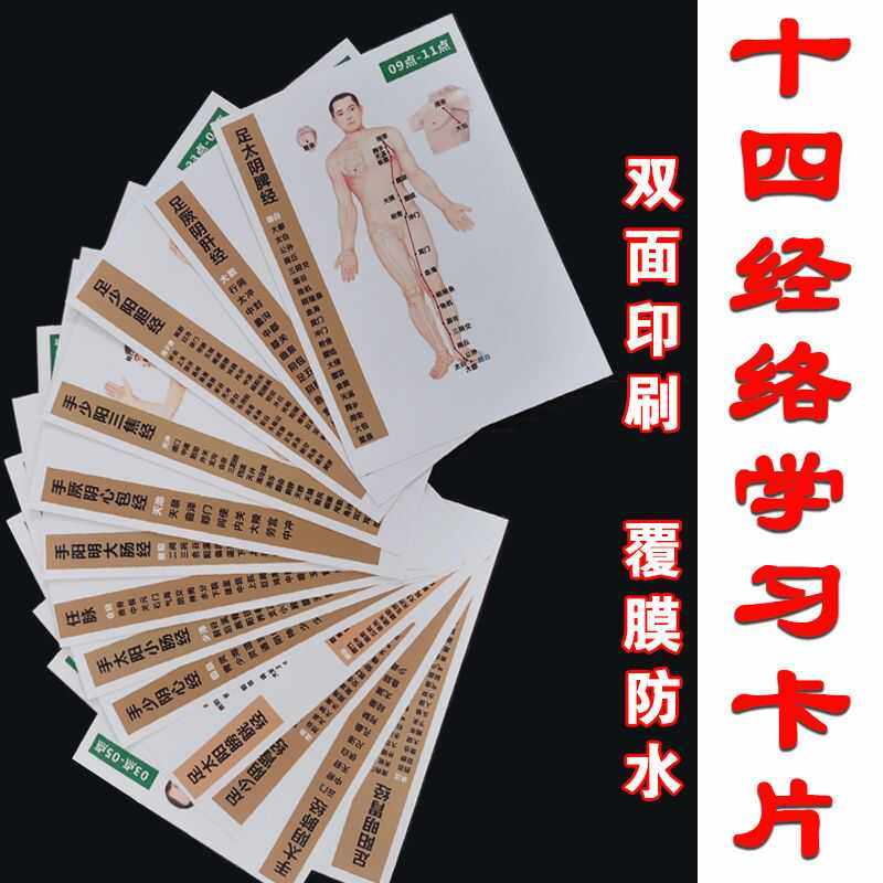 中医人体十四经络穴位示图片