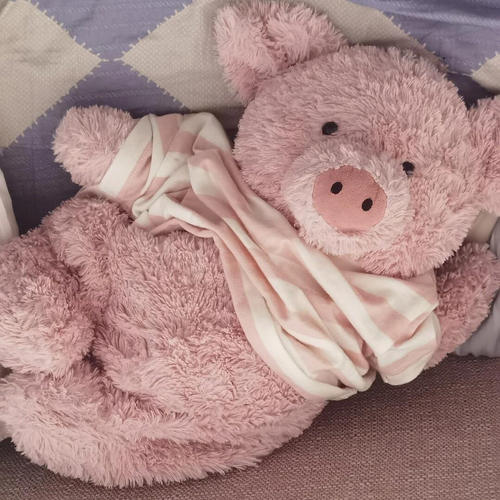 jellycat巴纳布斯小猪猪安抚玩偶