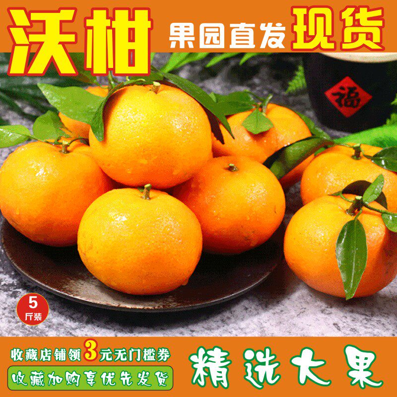 果园直发广西沃柑当季新鲜水果贡柑时令甜橘子孕妇柑橘5斤装包邮