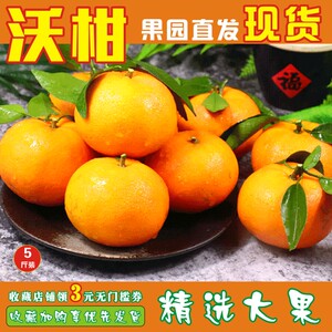 果园沃柑当季新鲜水果贡柑甜橘子
