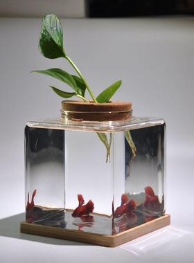 泰国斗鱼专用缸超白玻璃鱼缸新款办公室桌面迷你小型方形植物花瓶
