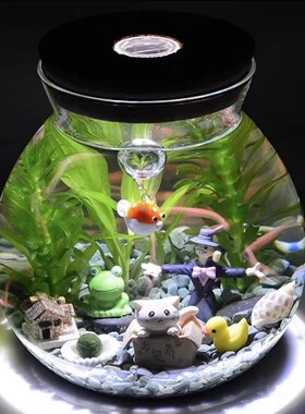 带灯木塞玻璃瓶DIY微景观生态瓶花瓶苔藓植物瓶绿藻球养殖海洋瓶