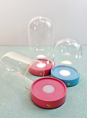 永生花USB充电发光灯座蓝色粉色小夜灯玻璃罩手办积木防潮展示罩