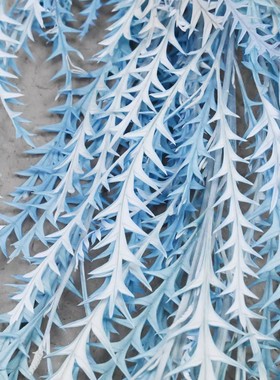 天然干花真花花束配草绿色家居装饰永生花进口羊齿叶3支/束装饰