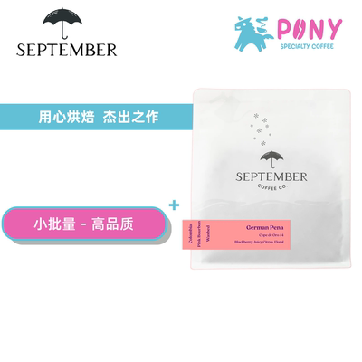 【现货】 加拿大September 九月咖啡豆 手冲精品浅烘焙 瑰夏