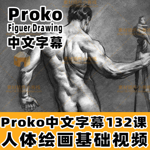 Proko Figuer Drawing中文字幕人体绘画基础视频132节课