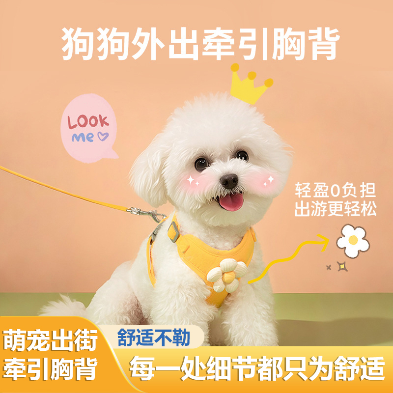 萌系闭眼入！小雏菊绣花胸背带