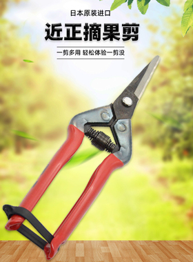 日本进口chikamasa近正大嘴鸟T-500黄瓜苹果摘果剪阳光玫瑰剪刀