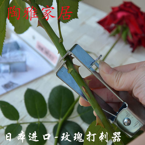 坂源鲜花打刺器日本原装进口
