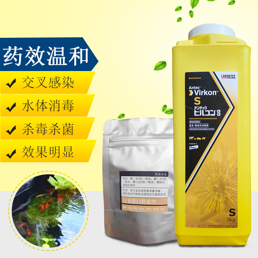 日本碧柔空鱼药锦鲤交叉感染橙粉金鱼合池缸趴缸充血烂身水质稳定