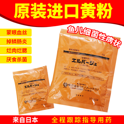 进口上野专用正品鱼盐日本黄粉