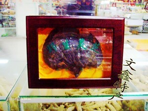 东北特产 灵芝 灵芝礼盒 配精美礼盒 礼品袋 紫灵芝 送礼够档次