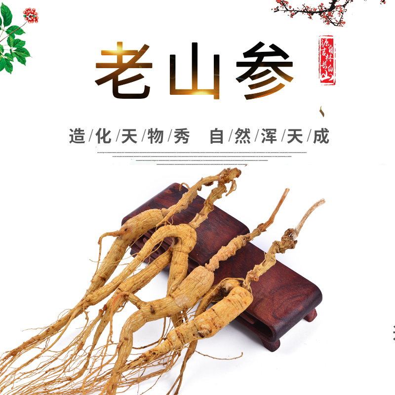 长白山残肢15年东北人参