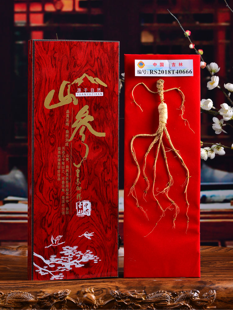 人参礼盒新款长白山山参林下参礼品礼盒 泡酒 煲汤泡水炖鸡