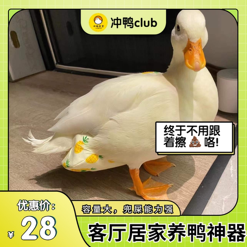 柯尔鸭垫料冲鸭食堂尿不湿不脏乱