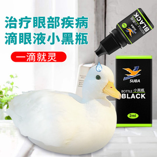 眼药水科尔鸭滴眼液眼药眼睛发炎流泪鸟类用消炎宠物草本植物药水